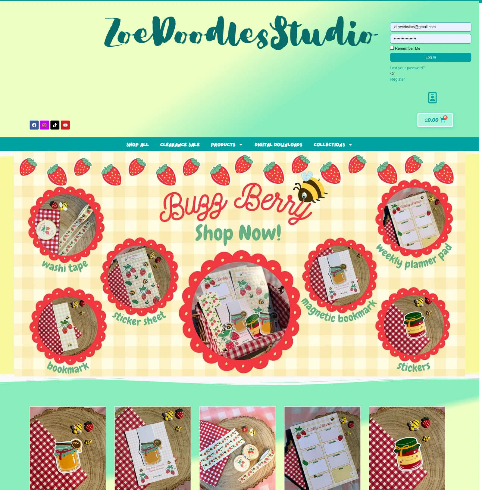 Zoe Doodles Studio website design
